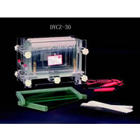 雙板夾心式垂直電泳槽 DYCZ-30