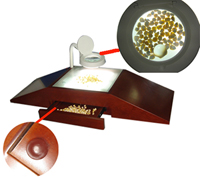 �N�Ӄ��ȷ����_