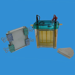 垂直電泳槽 DYCZ-24EN