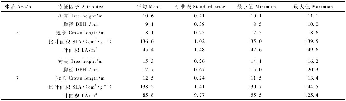 表1 歐美楊107楊林帶的樹木及樹冠特征