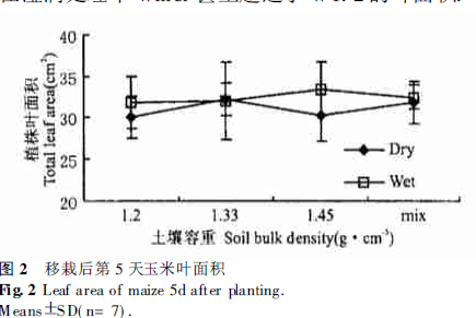 移栽后第5 天玉米葉面積