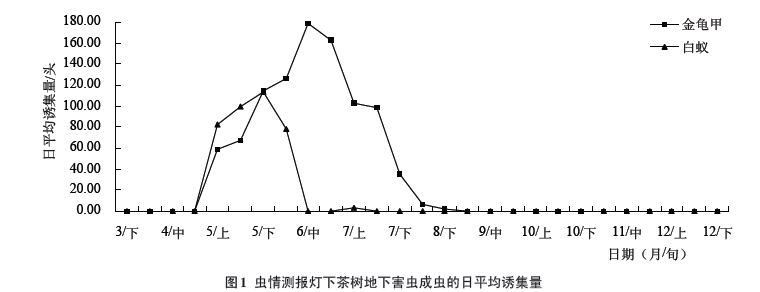 蟲情測(cè)報(bào)燈下茶樹地下害蟲成蟲的日平均誘集量