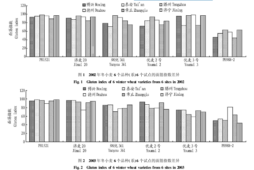 小麥品種在不同試點的面筋指數情況