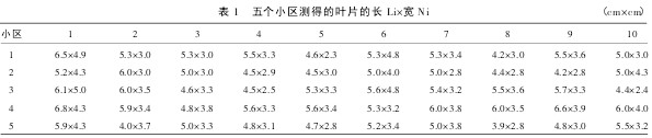 表 1 五個小區測得的葉片的長 Li×寬 Ni