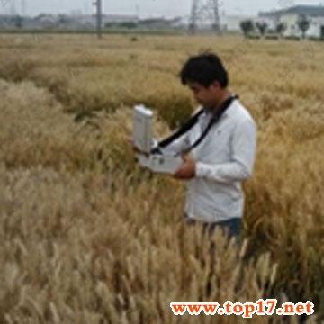 作物冠層溫度測量儀 TOP-500