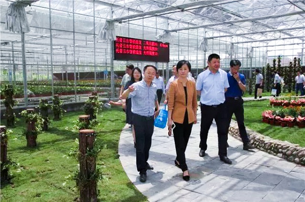 托普云農副總經理朱旭華給參會領導介紹智慧農業