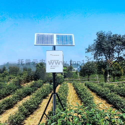 土壤多參數(shù)自動監(jiān)測站 TZS-GPRS-I