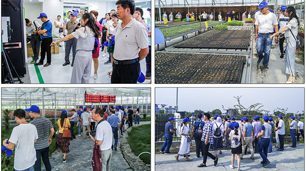 組織與會代表觀摩了杭州蕭山現代農業示范園基地