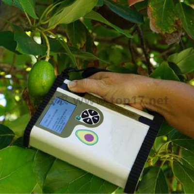 鱷梨品質(zhì)無損測量儀 TPF-751-Avo