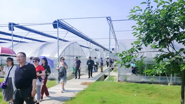 ��Ӗ����������ʒɽ�^�r�����R�ֻ���