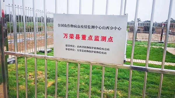 與會(huì)人員來到萬榮現(xiàn)代農(nóng)業(yè)產(chǎn)業(yè)園進(jìn)行現(xiàn)場(chǎng)觀摩