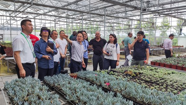 ����F(tu��n)һ��Ԕ��(x��)�˽┵(sh��)���r(n��ng)�I(y��)��Q�����;��w��(y��ng)�ó�Ч