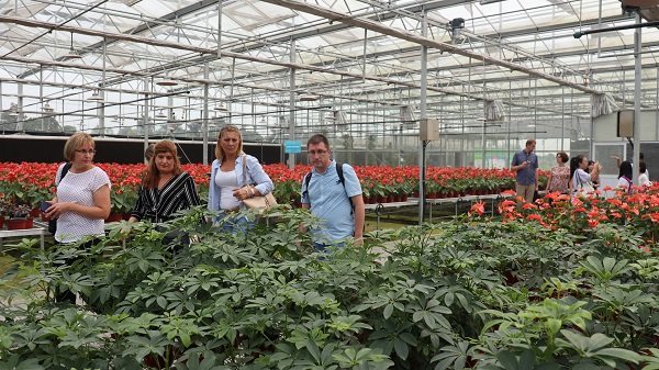 ���ް�һ���ڬF(xi��n)���r(n��ng)�I(y��)�a(ch��n)�I(y��)�@�F(xi��n)��(ch��ng)�^Ħ6