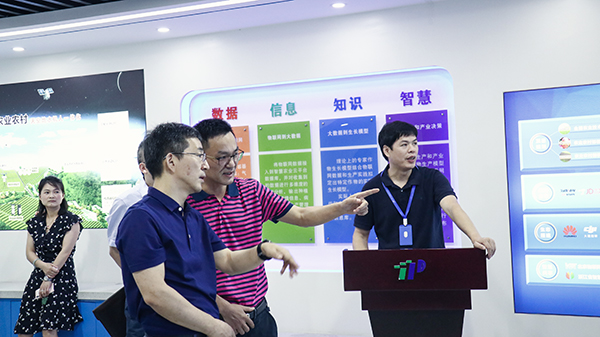 �w���L���������r���_�˸߶��J��