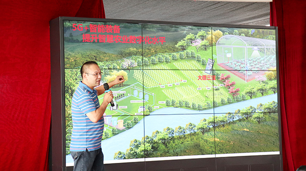 �X�i��B5G���r(n��ng)�I(y��)��(ch��ng)�������P(gu��n)��(y��ng)��