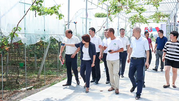 ���^�������ܿ���ϵ�y(t��ng)