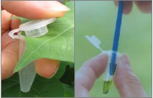 �z�y�D�����ԇ���l