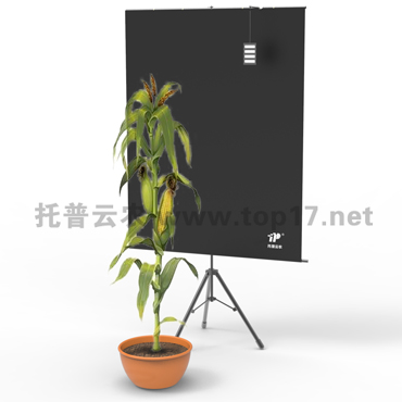 玉米株型分析系統 TPMT-X-1