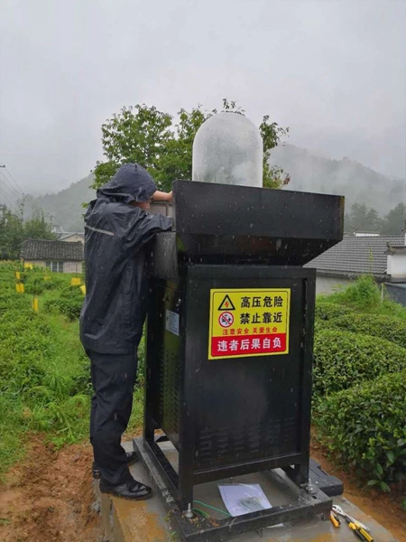 ����Ⱥ��