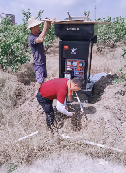 ����Ⱥ��