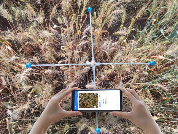 小麥畝穗數(shù)測量系統(tǒng)