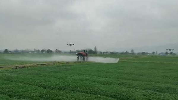 �r�C����