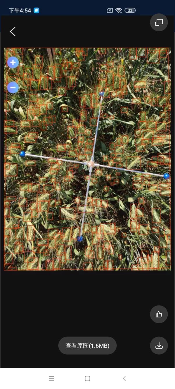 小麥畝穗數測量系統