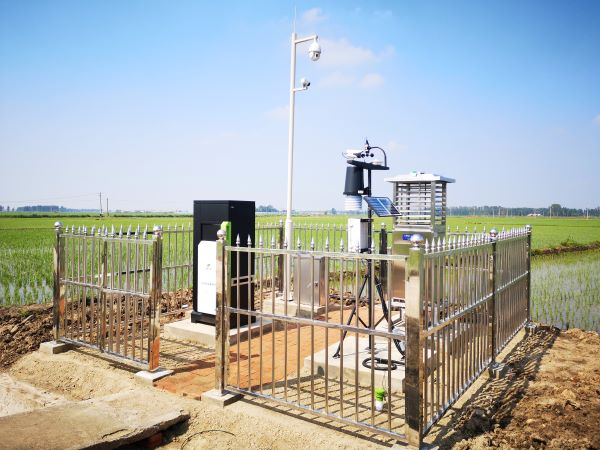 ���x���O�y�c���P�O��