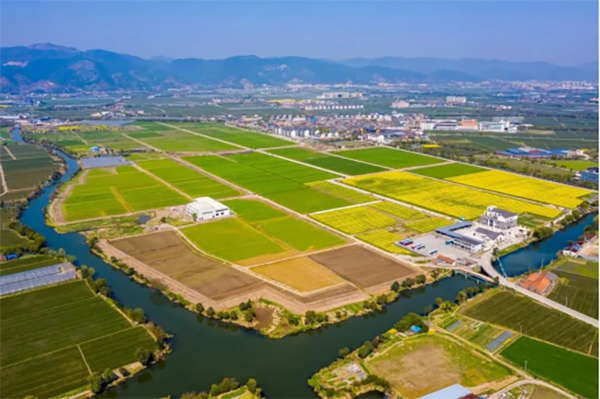 �o���r��