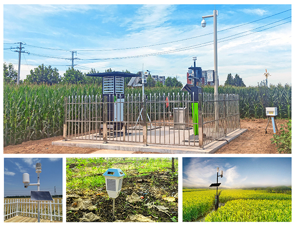 �������r(n��ng)�����аl(f��)���r(n��ng)�I(y��)�����O(sh��)�䑪(y��ng)�È�(ch��ng)��