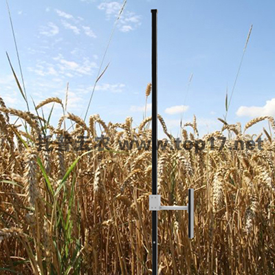 С����ߜy��