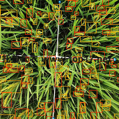 水稻畝穗數測量儀