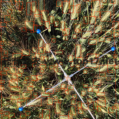 С�����딵�y��ϵ�y