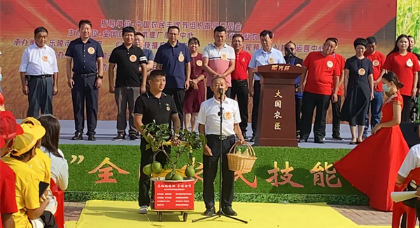 彭永紅現場展示矮晚柚