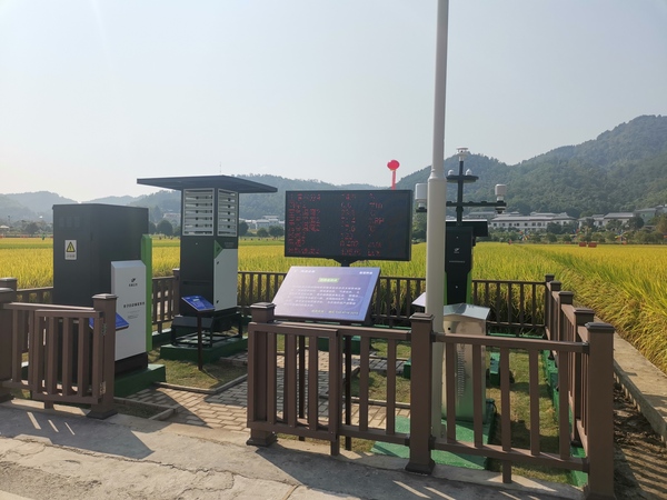 �c�������I(l��ng)��(d��o)�F(xi��n)���^Ħ�������r(n��ng)֧�ν��O(sh��)�����ķN�I(y��)�ƌW(xu��)Ժ��ɽ����