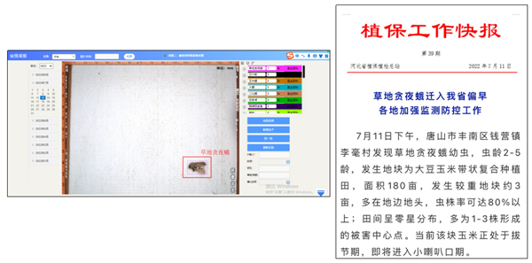 �ݵ�؝ҹ�������