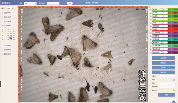 �ݵ���������