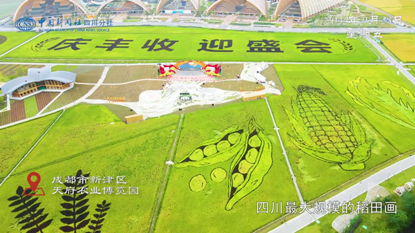 �Ї��r(n��ng)���S�չ�(ji��)���������ĈD