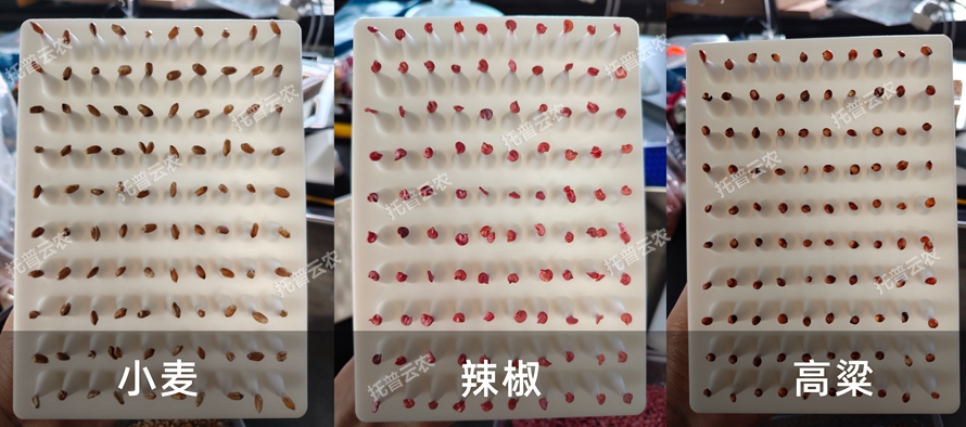 TP-SZC-50�๦����Ք��N�ô��_