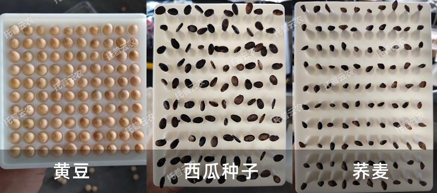 真空置床系統(tǒng)