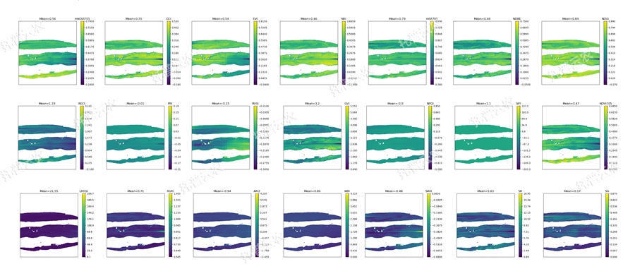 溫室型高通量植物表型采集分析平臺-高光譜-玉米葉