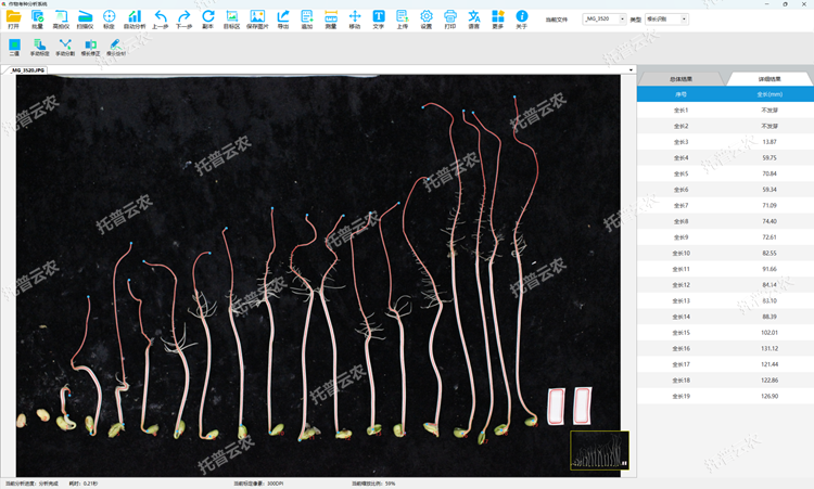 種子萌發(fā)和根系分析